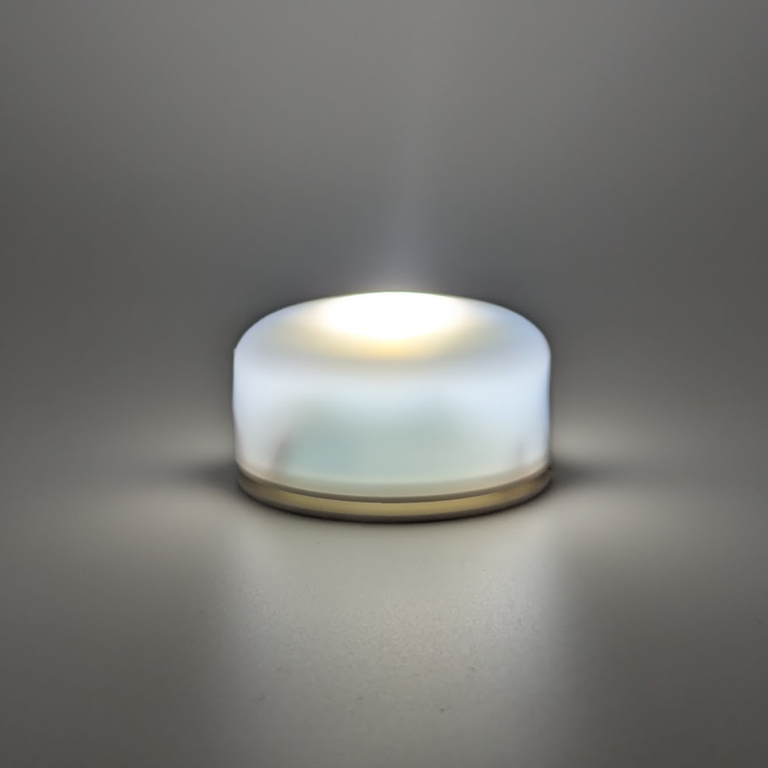 Tulips Light Globe + LED Base Bundle