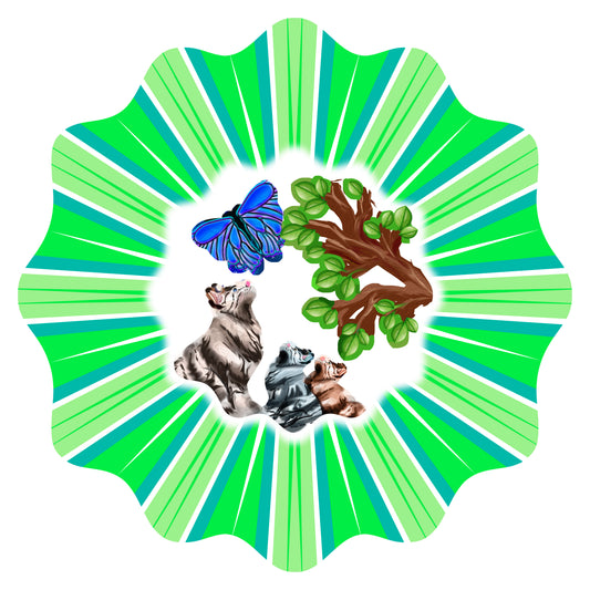 Large cats wind spinner with three cats and a blue butterfly centre scene inside a green sunburst rim